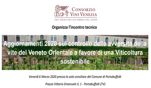 Aggiornamenti sul controllo delle avversità della vite del Veneto Orientale