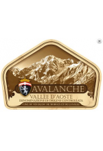 Avalanche-2010.jpg