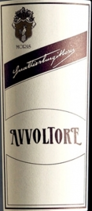 Avvoltore-2003.png