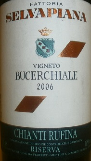 Bucerchiale-2006.jpg