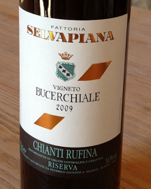 Bucerchiale-2009.jpg