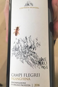 Contrada Salandra Campi Flegrei Falanghina 2016