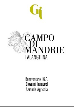 Campo-delle-Mandrie-Falanghina-2014.jpg