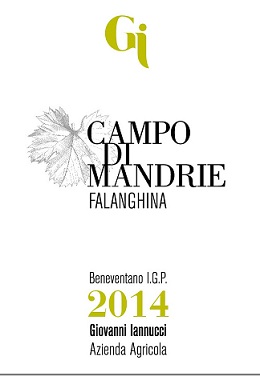 Campo-delle-Mandrie-Falanghina-2015.jpg