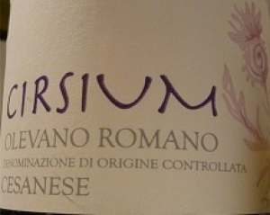 Cirsium-2001.jpg