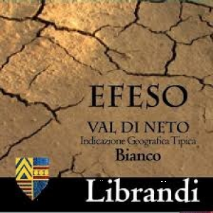 Efeso-2009.jpg