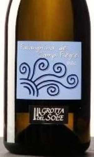 Falanghina-2011.jpg