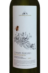 Falanghina-Campi-Flegrei-2014.jpg