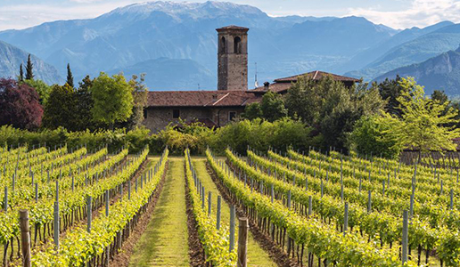 Festival Franciacorta in Cantina 2020