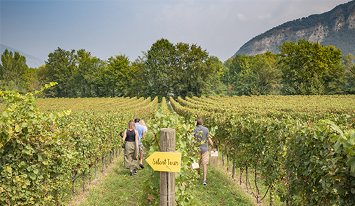 Festival Franciacorta in Cantina 2021
