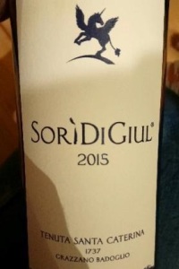 Tenuta Santa Caterina Freisa d'Asti Sorì di Giulia 2015