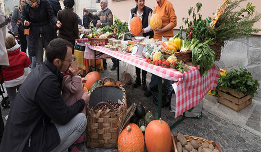 Fuori di Zucca