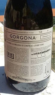 Gorgona-2015.jpg