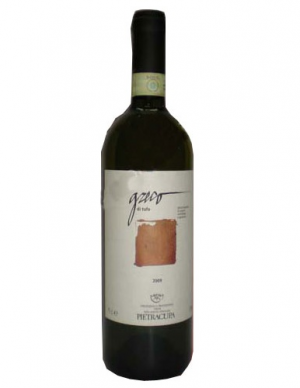 Greco-di-Tufo-2010.jpg