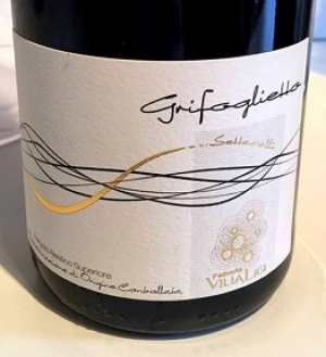 Grifoglietto-2012.jpg
