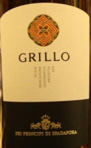 Grillo-2009.jpg