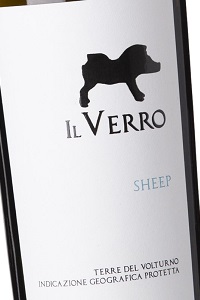 Il Verro Terre del Volturno Sheep