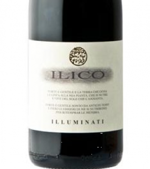 Illico-2009.jpg