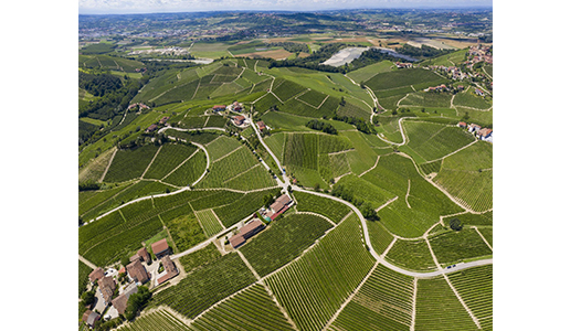 “La via selvatica” - Ceretto