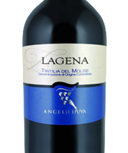 Lagena-2015.jpg