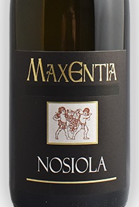 Maxentia Vigneti delle Dolomiti Nosiola 2022