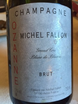 Michelle-Fallon-Ozanne.jpg