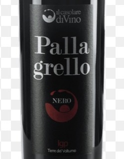 Pallagrello-Nero-2016.jpg