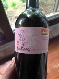 Piluc-Etichetta-rosa-Orange-Wine-2015.jpg