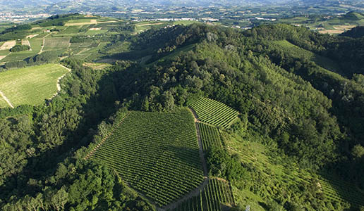 Roero Wine Week 2020