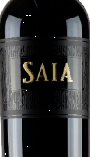 Saia-2013.jpg