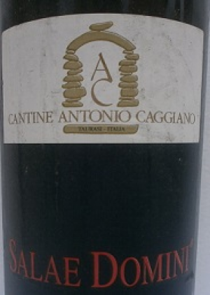 Salae-Domini-1999.jpg