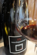 Sy156-Syrah-2009.jpg