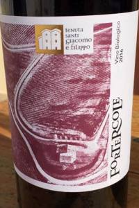 Tenuta Santi Giacomo e Filippo Fortercole vino rosso Marche 2016