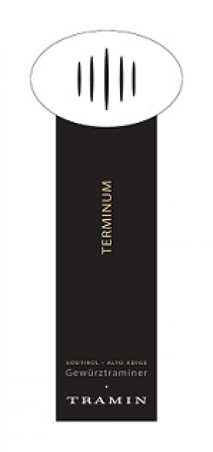 Terminum-VT-2011.jpg
