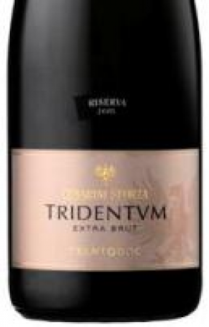 Tridentum-Riserva-Extra-Brut-2005.jpg