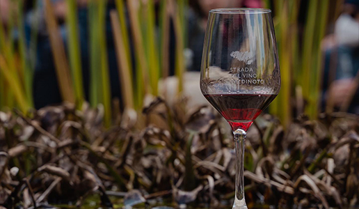 VVN - Vini e Vigne del Valdinoto 2023