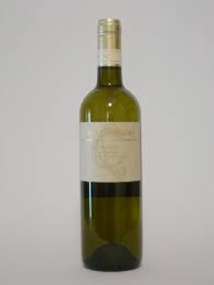 Verdicchio-di-Matelica-2005.jpg