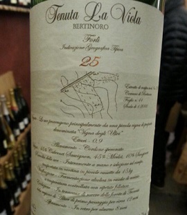 Vigna-25-2012.jpg