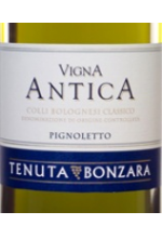 Vigna-Antica-2011.jpg