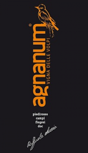 Vigna-delle-Volpi-2007.jpg