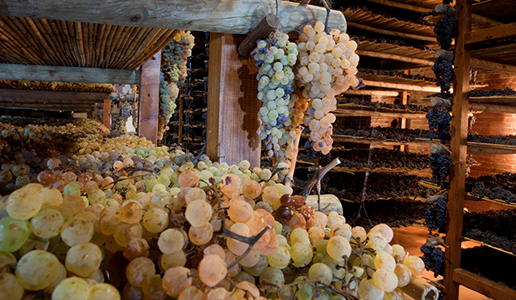 Vin Santo Lovers 2022 - Montepulciano