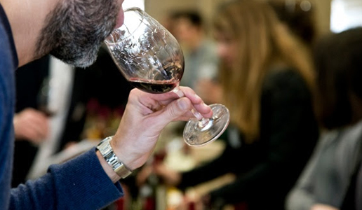 Vini d'Autore Terre d'Italia - Lido di Camaiore