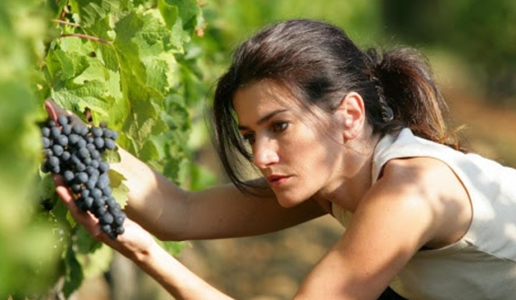 Vino, Sostantivo Femminile