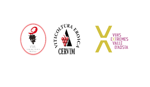 Vins Extrêmes 2019