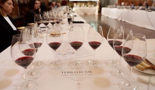 Terraelectae postazione degustazione