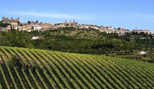 Montalcino 1