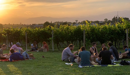 Picnic Poggio delle Grazie