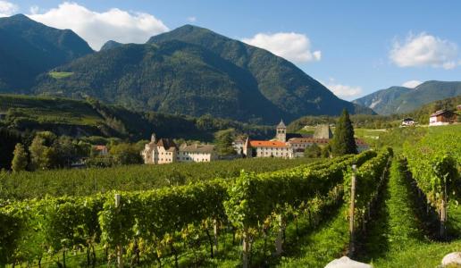 abbazia di novacella alto adige valle isarco sylvaner praepositus vino bianco panorama vigneti foto santini