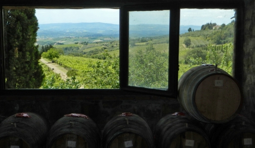 castellare di castellina i sodi di san niccolo vino rosso toscana 2013 panorama cantina