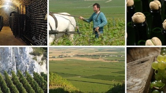 Agrapart e la Cuvée Minéral da vecchie vigne